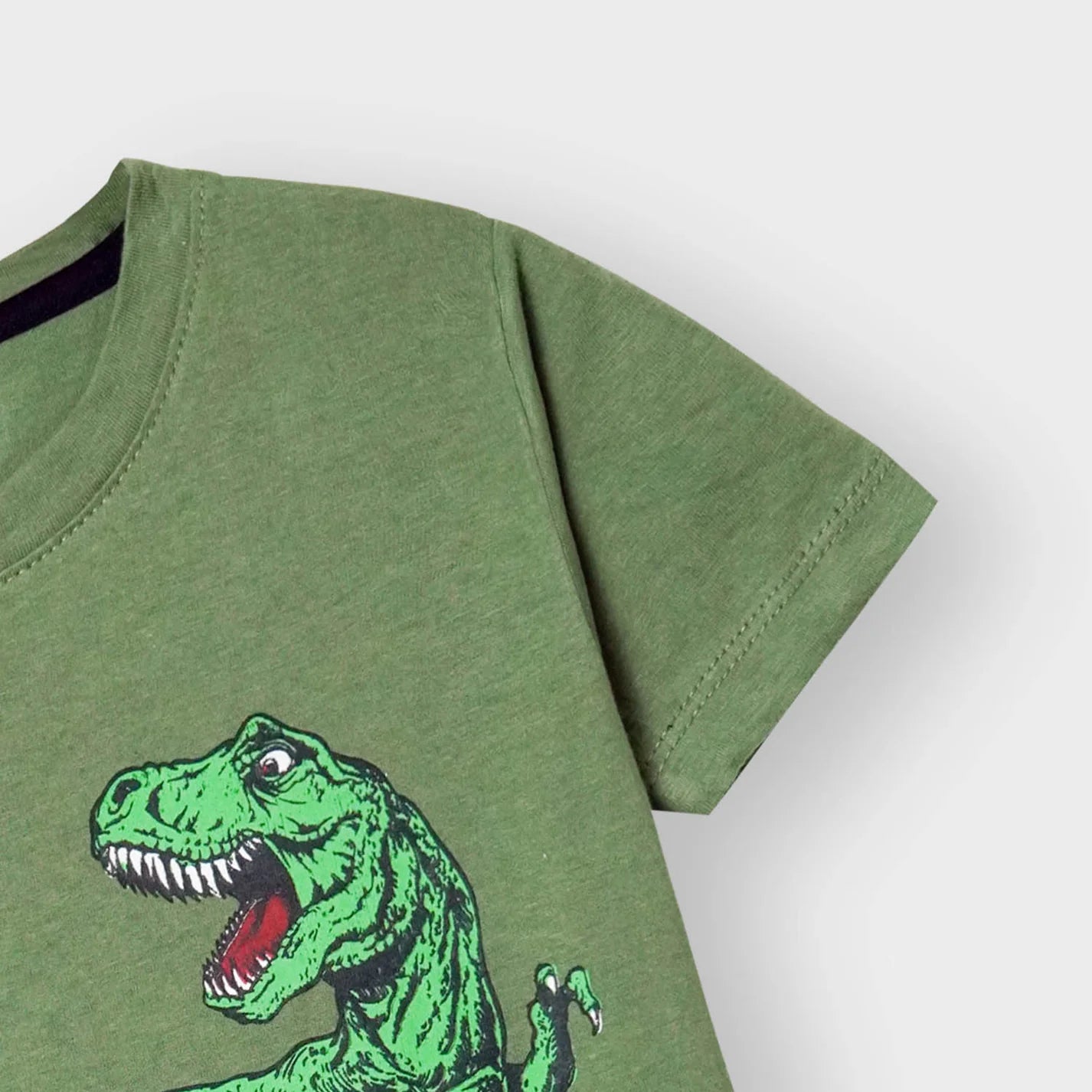 Boys Premium Quality T-Rex Printed Green Summersuit